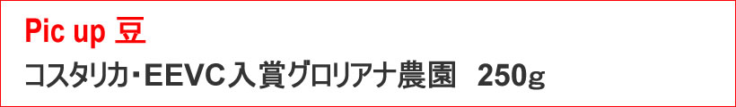 注目豆