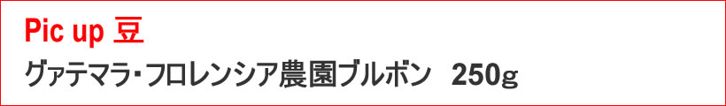 注目豆