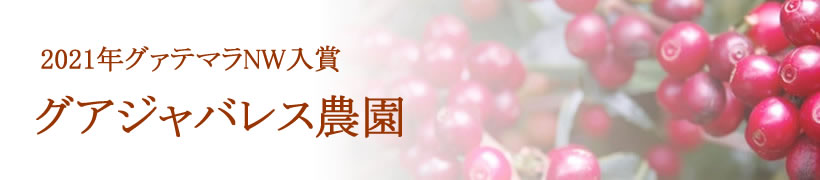 グァテマラNW入賞プラセレス農園