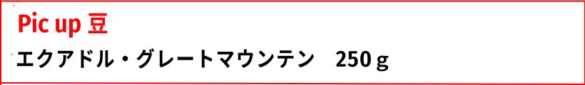注目豆
