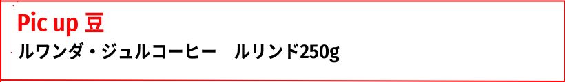 注目豆