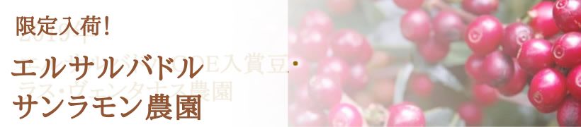 エルサルバドル・サンラモン農園ト