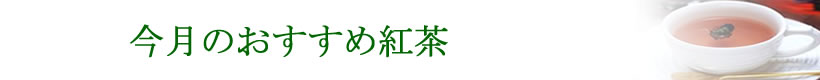 店長・季節お勧め紅茶